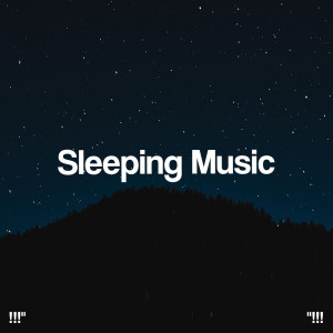 ดาวน์โหลดและฟังเพลง Deep Sleep Music (Delta Waves 432Hz) พร้อมเนื้อเพลงจาก Study Alpha Waves