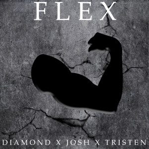 收聽Diamond的Flex (Explicit)歌詞歌曲
