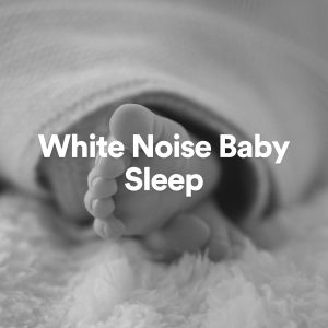 White Noise Baby Sleep的專輯White Noise Baby Sleep