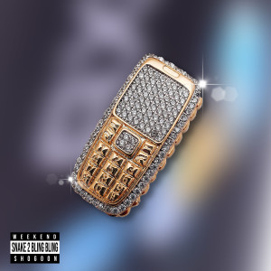 Album Snake 2 & Bling Bling (Explicit) from 