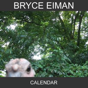ดาวน์โหลดและฟังเพลง Calendar พร้อมเนื้อเพลงจาก Bryce Eiman