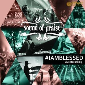 ดาวน์โหลดและฟังเพลง Aku Diberkati (feat. Sidney Mohede) พร้อมเนื้อเพลงจาก Sound Of Praise