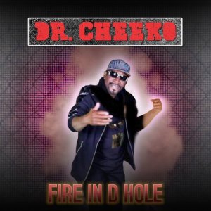 收聽Dr. Cheeko的Fun Fun Fun歌詞歌曲