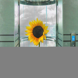 Dengarkan 지하 (feat. 리플리 (RIPLEY)) (Basement) lagu dari MOST (모스트) dengan lirik