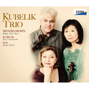 ดาวน์โหลดและฟังเพลง Piano Trio No. 1 in D Minor, Op. 49: 2. Andante con moto tranquillo พร้อมเนื้อเพลงจาก Kubelik Trio