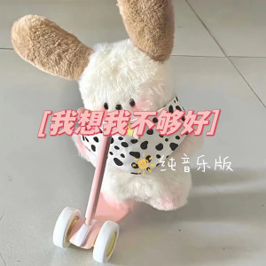 Album 我想我不够好 (纯音乐版) from 单色凌