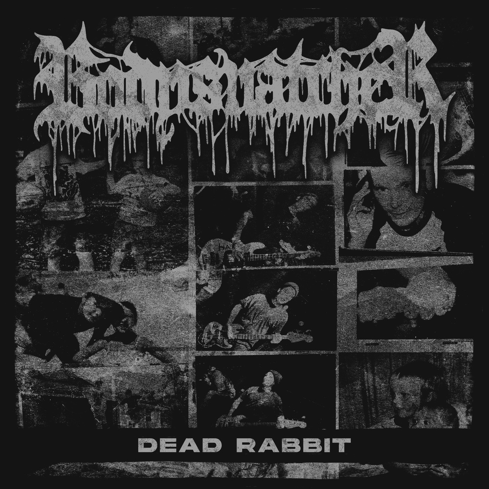 Dead Rabbit (Explicit)