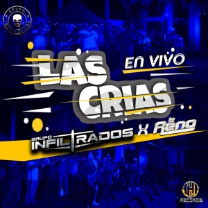 Listen to Las Crias (En Vivo) song with lyrics from Grupo Infiltrados
