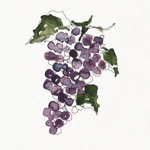 Listen to Sangiovese song with lyrics from Drxnk