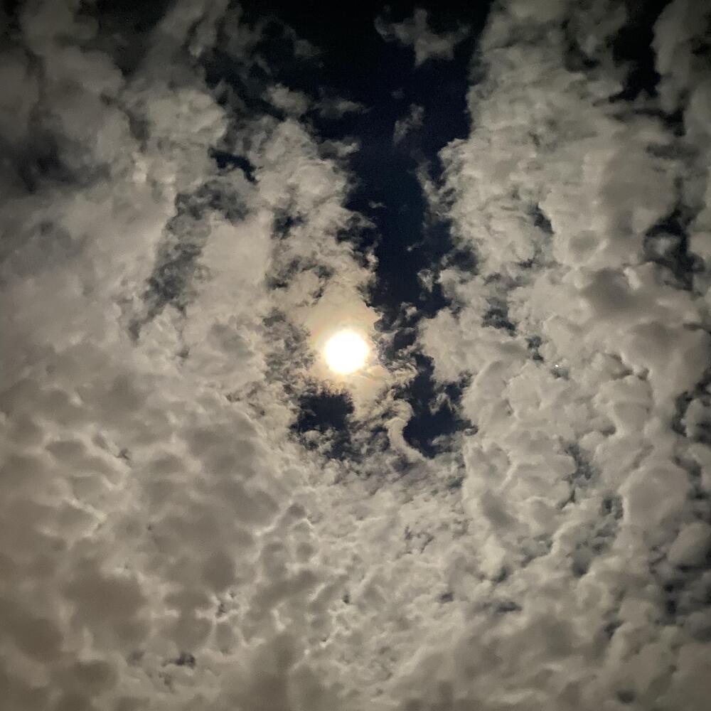 Heaven’s Gate (Explicit)