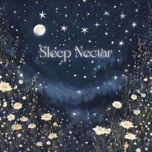 Album Sleep Nectar (Ethereal Hush for Tranquil Dreams) oleh Deep Sleep Music Masters