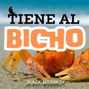 Mr MonkeyFace的專輯TIENE AL BICHO (Special Version Smack My ***** Up )