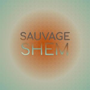 Various的专辑Sauvage Shem