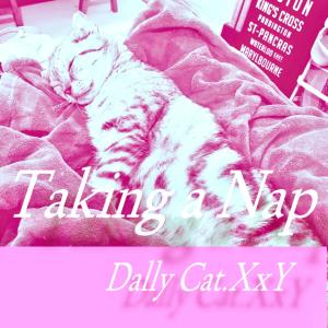Listen to Taking a Nap (Explicit) song with lyrics from Dally Cat.XxY