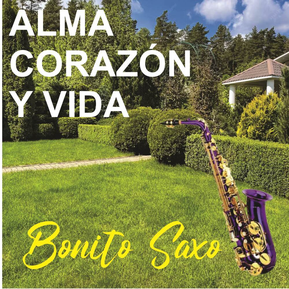 Alma corazón y vida