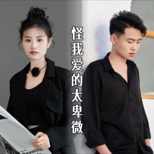 Listen to 怪我爱的太卑微 (完整版) song with lyrics from 二少一岳晟德