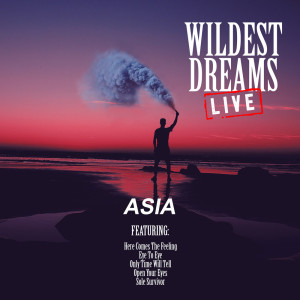 Listen to Guitar Solo (Live) song with lyrics from Asia