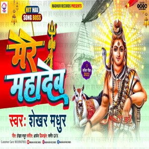 ดาวน์โหลดและฟังเพลง Mere Mahadev พร้อมเนื้อเพลงจาก Shekhar Madhur