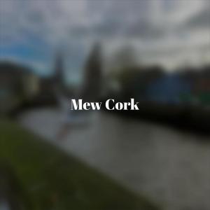 Dengarkan Delicious Crossing lagu dari Filio Basen dengan lirik