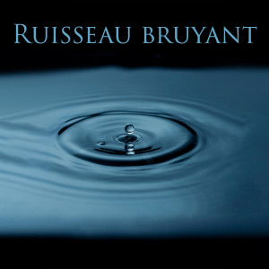 Spa Musique Collection的专辑Ruisseau bruyant (Sons naturels doux contre les attaques de panique, Soulagement, Meilleur sommeil)