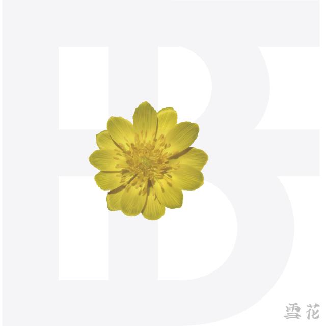 ดาวน์โหลดและฟังเพลง 설화 พร้อมเนื้อเพลงจาก BF