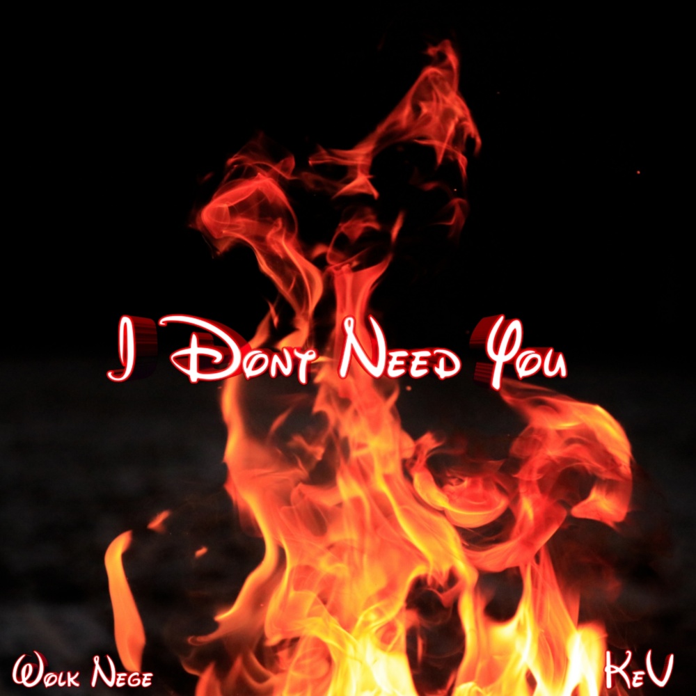 I Don't Need You