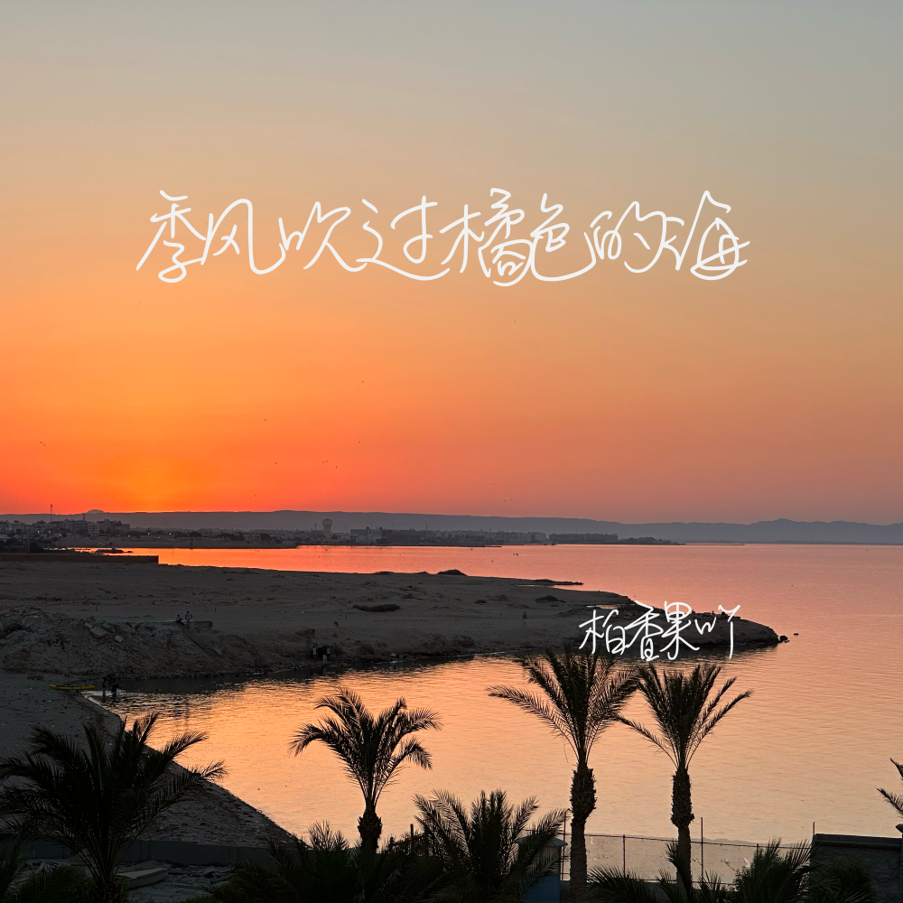 季风吹过橘色的海