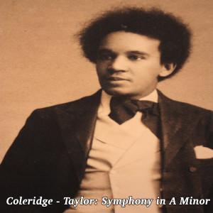 ดาวน์โหลดและฟังเพลง Allegro ma non troppo (Original) พร้อมเนื้อเพลงจาก Douglas Bostock