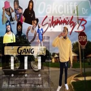 อัลบัม Gang Tape (Explicit) ศิลปิน Ricky B