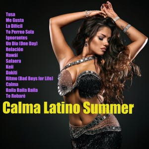 收听Boricua Boys的La Difícil歌词歌曲