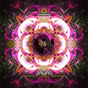 Qawaq的专辑Sadhu´s Cyber Dreams