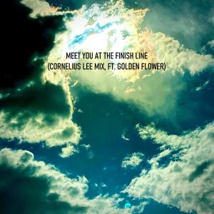 ดาวน์โหลดและฟังเพลง Meet You at the Finish Line (feat. Golden Flower) (Cornelius Lee Mix) พร้อมเนื้อเพลงจาก Patrick Moreno
