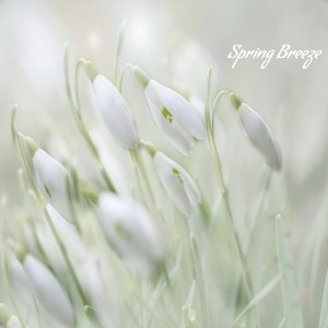 Listen to Spring Breeze song with lyrics from Angie Hawke