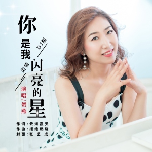 Listen to 你是我闪亮的星（柔情DJ版） (完整版) song with lyrics from 云海