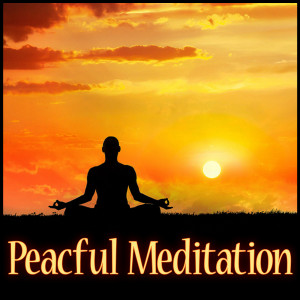 Loving Soothing Spa Orchestra的專輯Peaceful Meditation