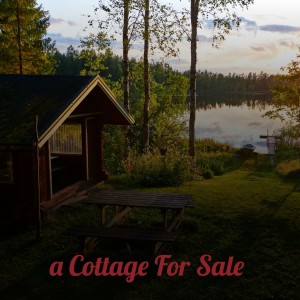 Various Artists的專輯A Cottage for Sale