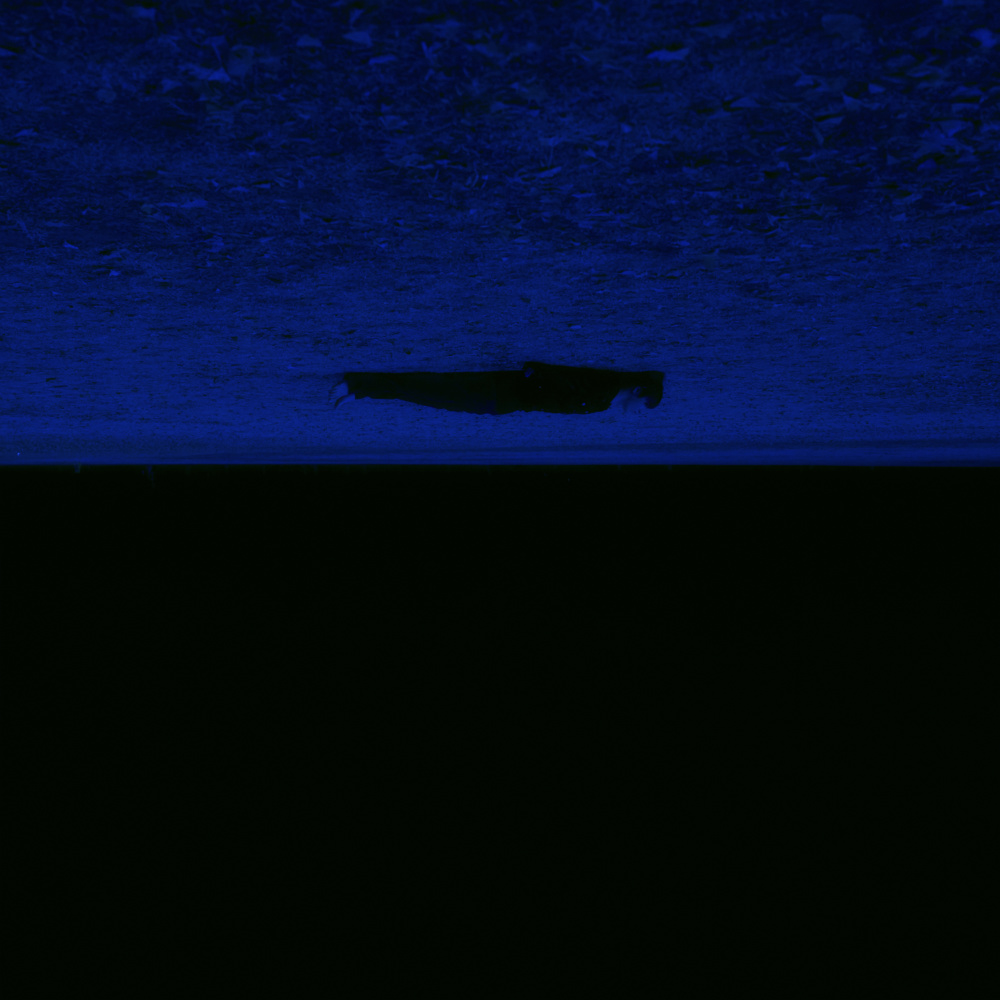 Alone Again
