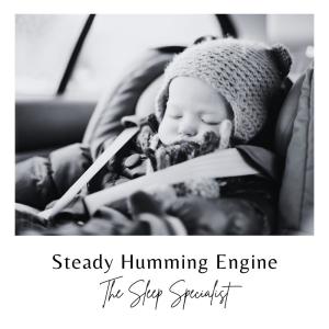 The Sleep Specialist的专辑Steady Humming Engine
