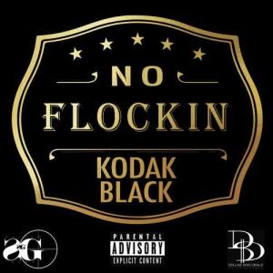 Kodak Black的專輯No Flockin'