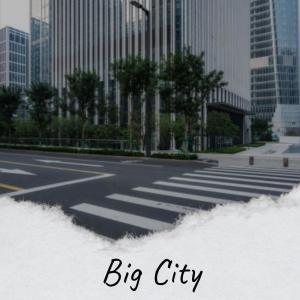 Silvia Natiello-Spiller的专辑Big City