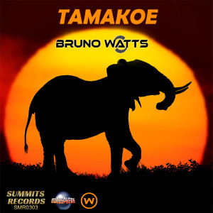 Listen to Tamakoe (Radio Edit) song with lyrics from Bruno Watts