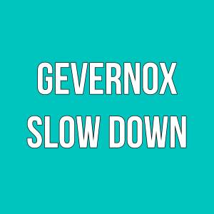 ดาวน์โหลดและฟังเพลง gevernox พร้อมเนื้อเพลงจาก Slow Down