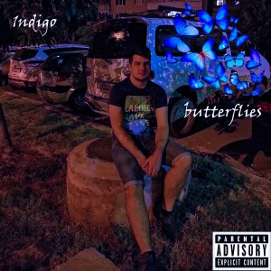 Album Butterflies oleh 1ndigo