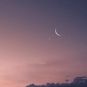 Album Moony from 羽肿
