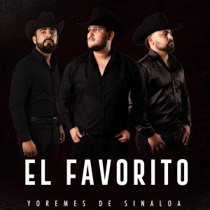Listen to El Favorito song with lyrics from Yoremes De Sinaloa