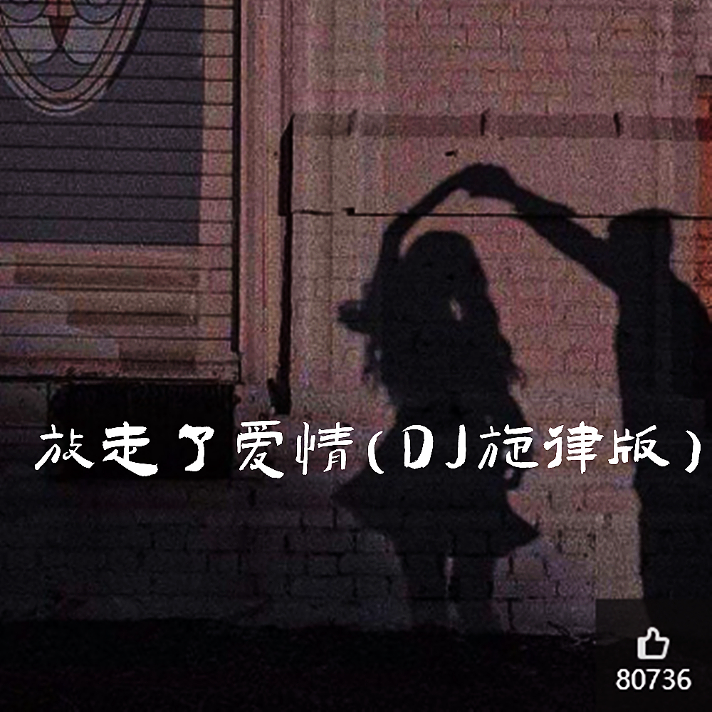 放走了爱情 (DJ旋律版)