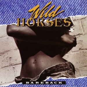 收聽Wild Horses的Day In The Sun歌詞歌曲