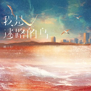 Album 我是迷路的鸟 oleh 林三七