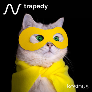 Trapedy dari Shifumi