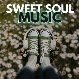 Various的專輯Sweet Soul Music